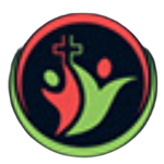 金牌影院电视剧在线观看